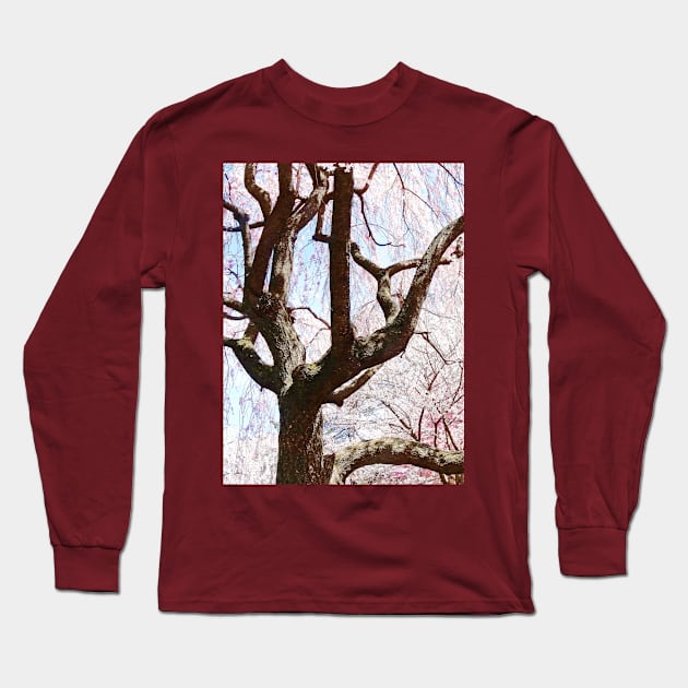 Spring - Cherry Tree Closeup Long Sleeve T-Shirt by SusanSavad